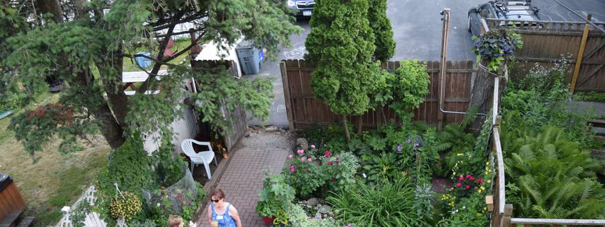 aerial view of people in backyard