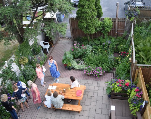 aerial view of people in backyard