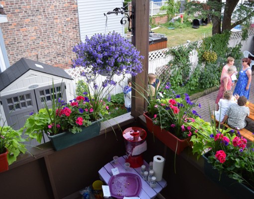 aerial view of people in backyard