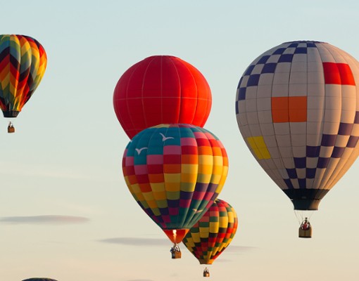 hot air balloons in the air