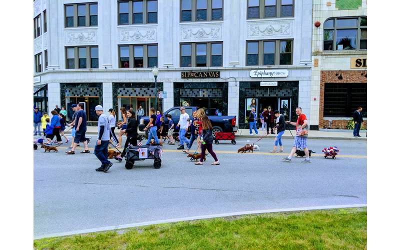 Annual Glens Falls Wiener Walk Monday, May 27, 2019 Glens Falls, NY