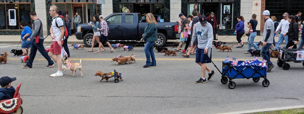 wiener walk in parade