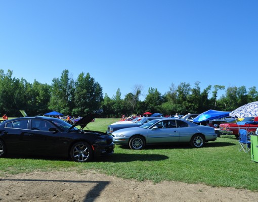 cars parked in a lawn