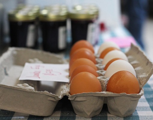eggs