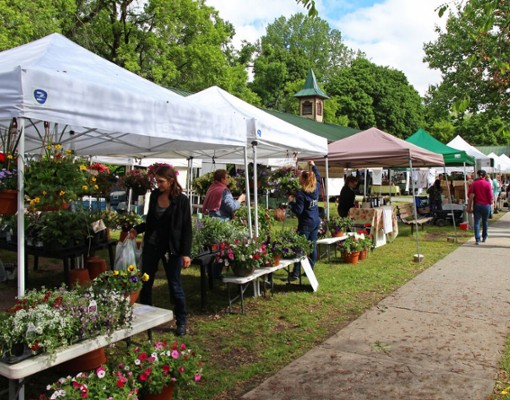 vendor tents set up