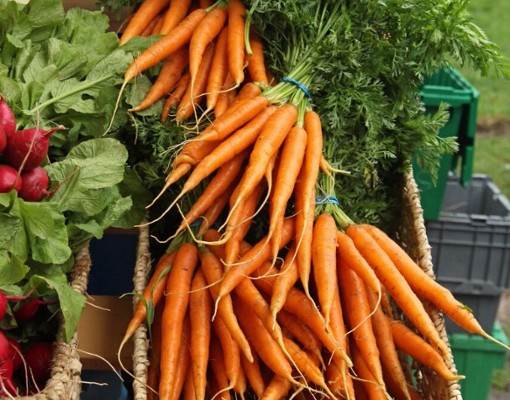 carrots