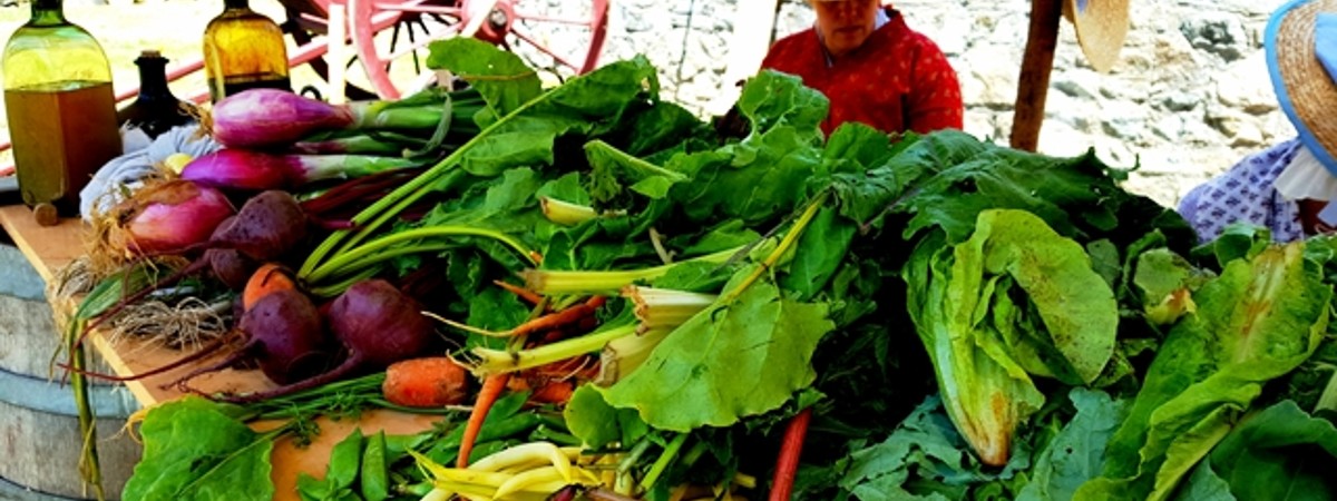 Fresh Vegetables Photo