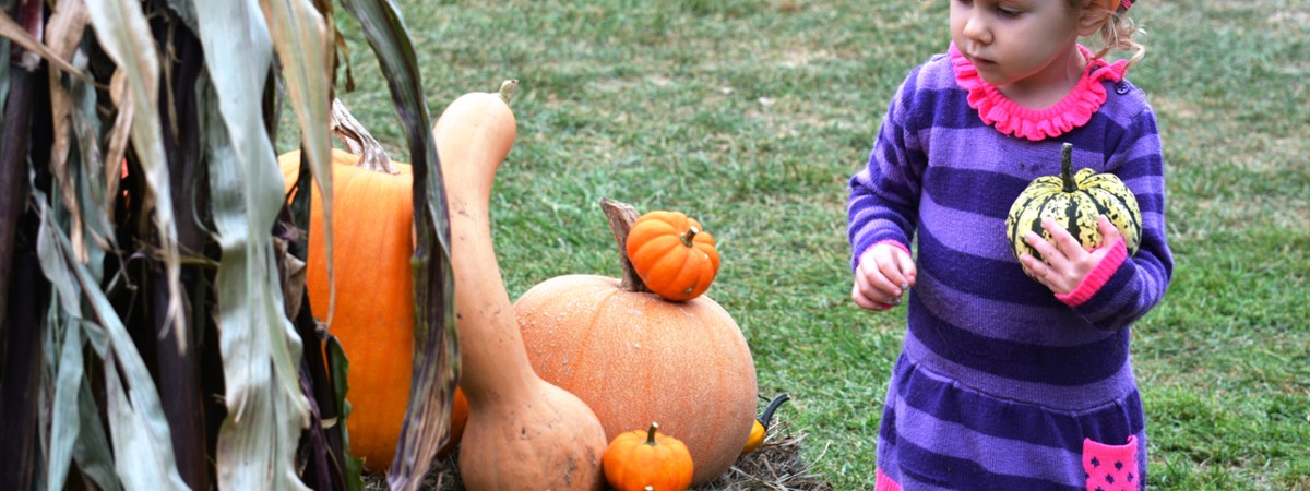 Child Next to Pumpkin Photo