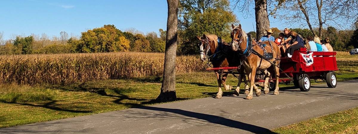 horse-drawn wagon ride