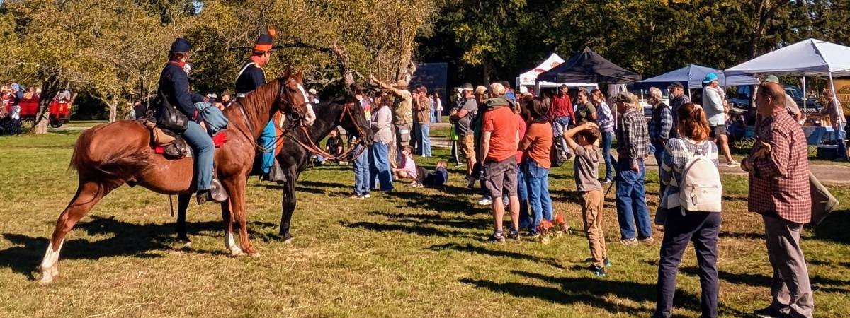 crowd and people on horses