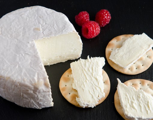 cheese