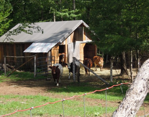 barn