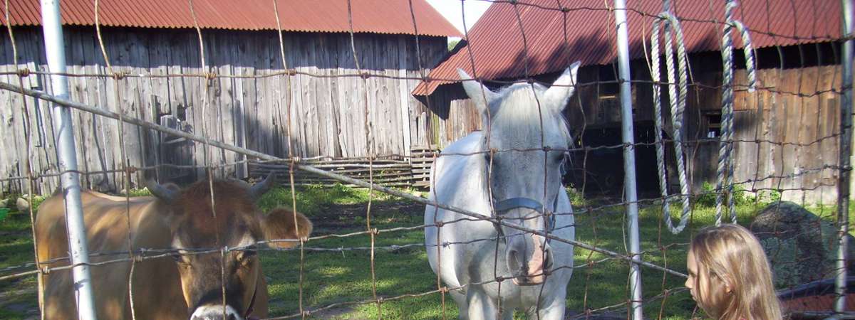 kids and farm animals