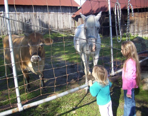kids and farm animals