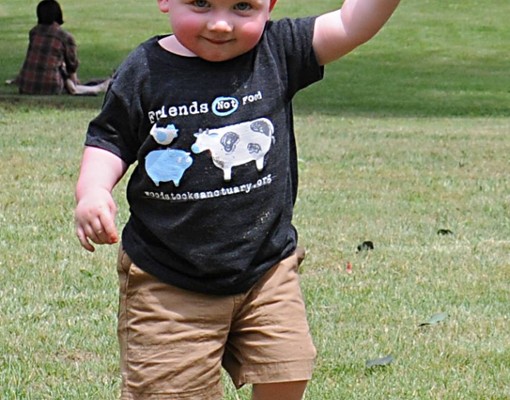 toddler with Friends Not Food shirt