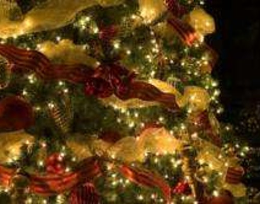 close up of Christmas tree