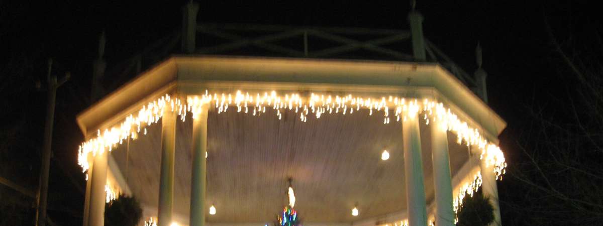 a christmas tree with lights under an outdoor structure