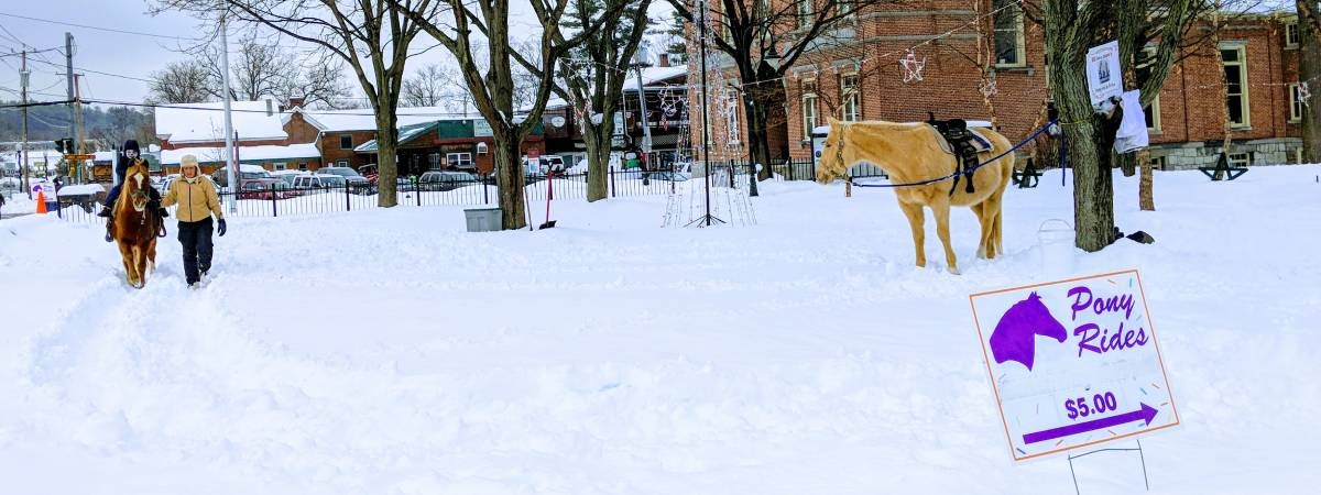 pony rides at winter carnival