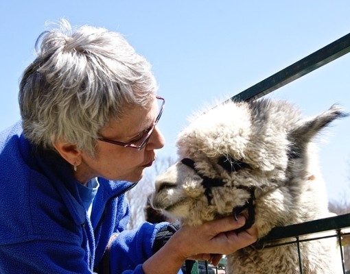 woman holding alpaca