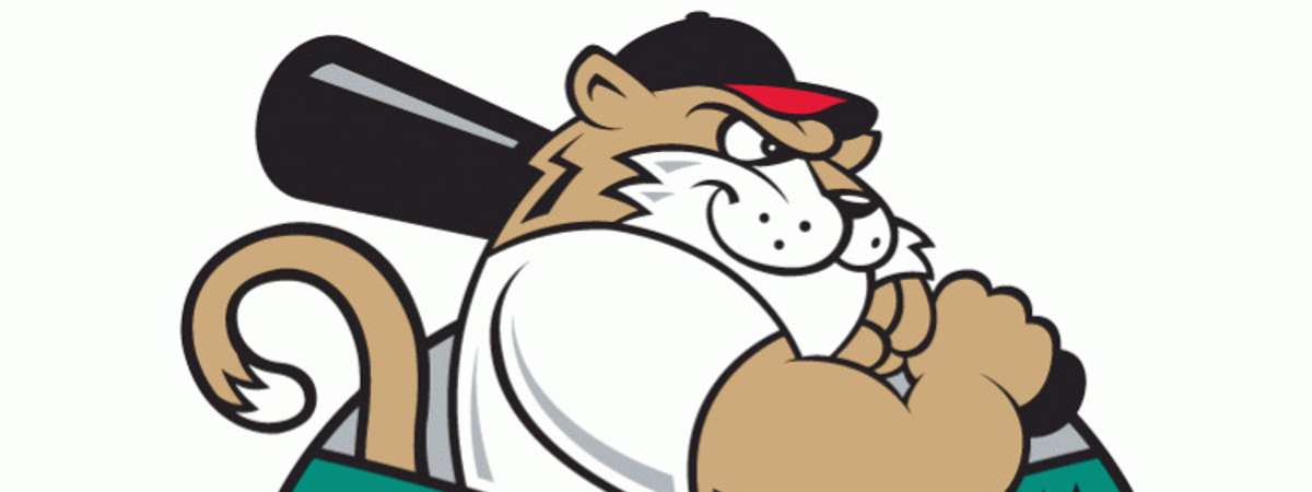 valleycats baseball logo