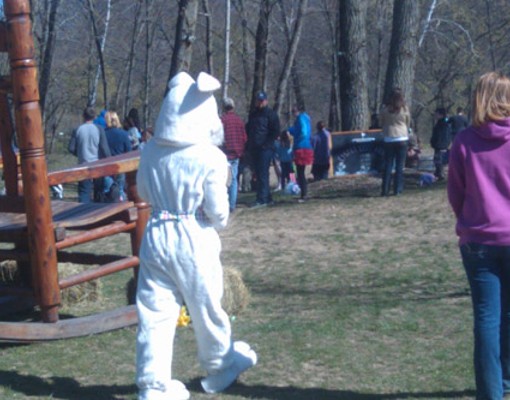 Easter Bunny walking over to people