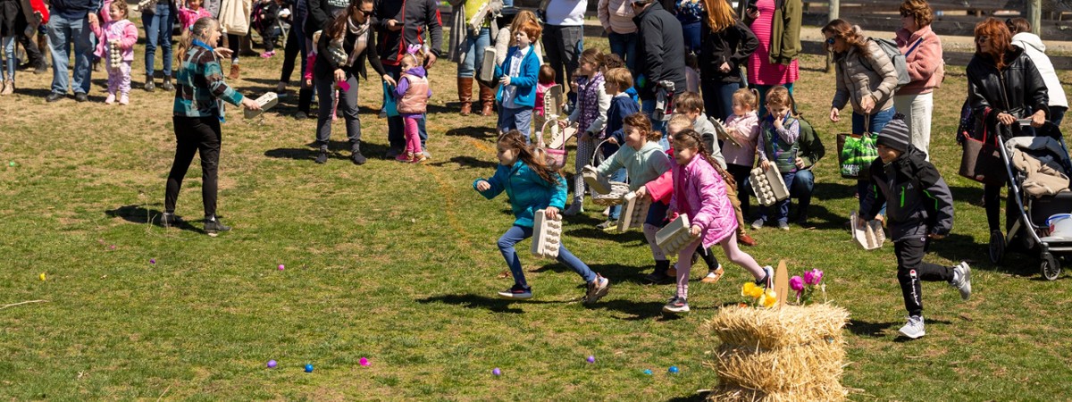 Easter egg hunt