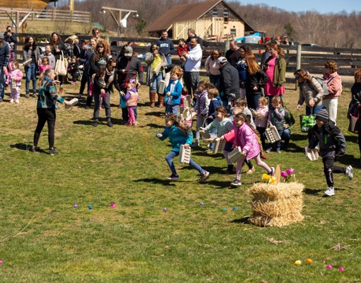 Easter egg hunt
