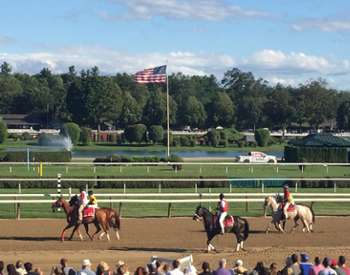 horses on dirt track