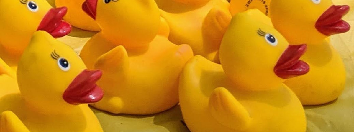 rubber ducks