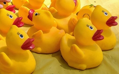 rubber ducks