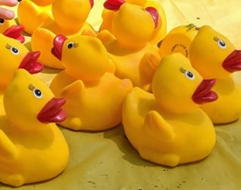 rubber ducks