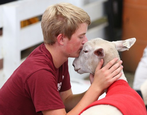 a kid kissing a goat