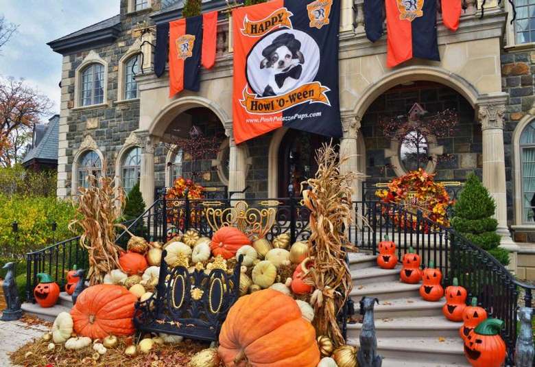 The Riggis Halloween Celebration Monday, Oct 31, 2016 Saratoga