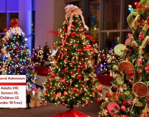 brightly lit holiday trees