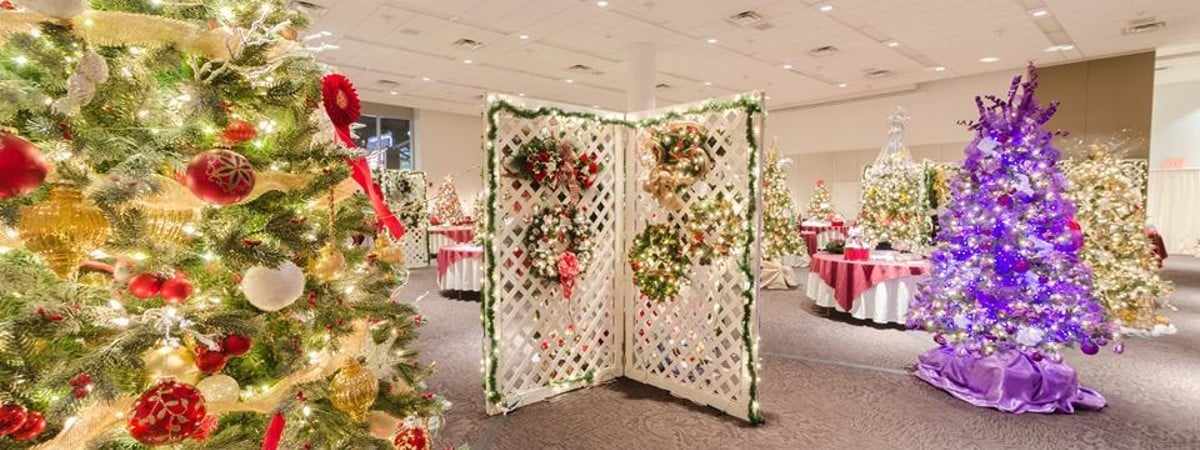 brightly lit holiday trees