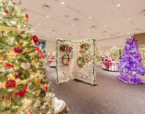 brightly lit holiday trees