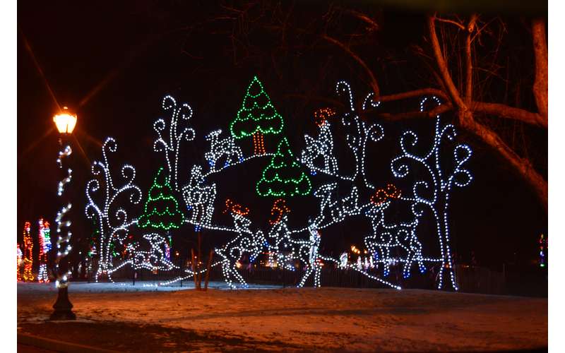 holiday lights