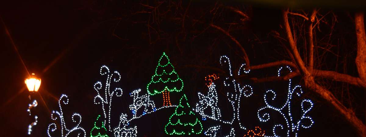 lighted display at capital holiday lights in the park