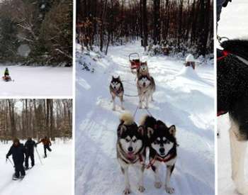 activities going on as part of the adirondack whiteout weekend