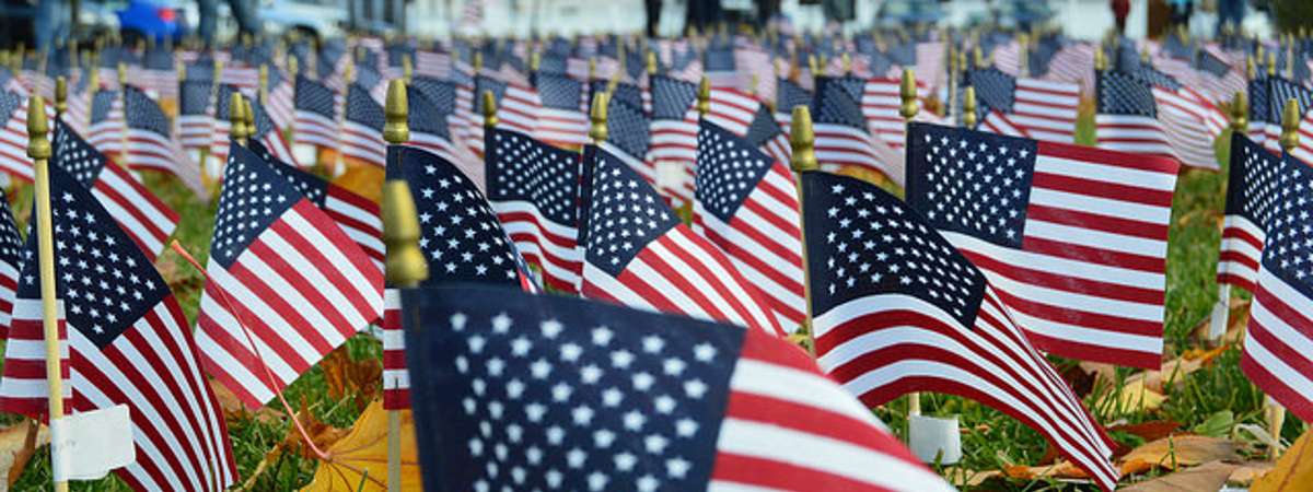 field of small american flags