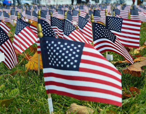 field of small american flags