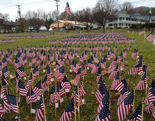 field of flags