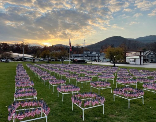 lots of flags lined up in a field