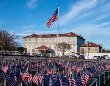 lots of flags lined up in a field