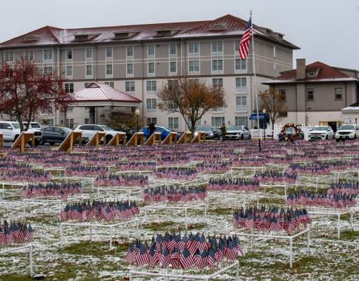 field of flags