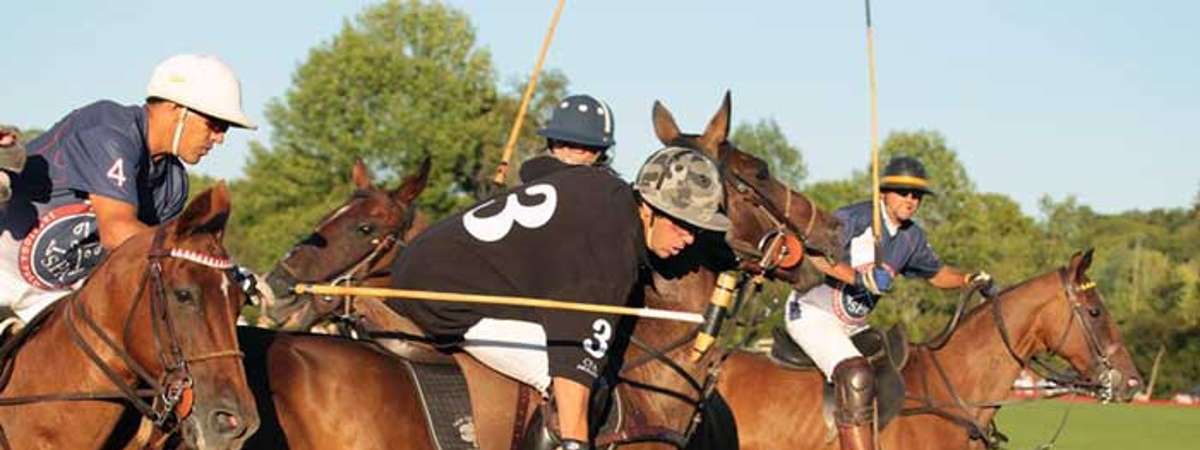 a group of polo players on brown horses competing on a field
