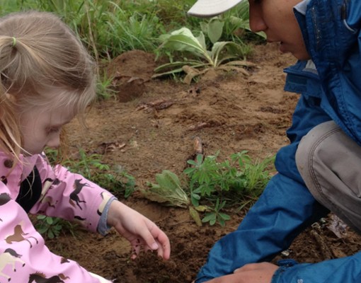 adult and kid planting something