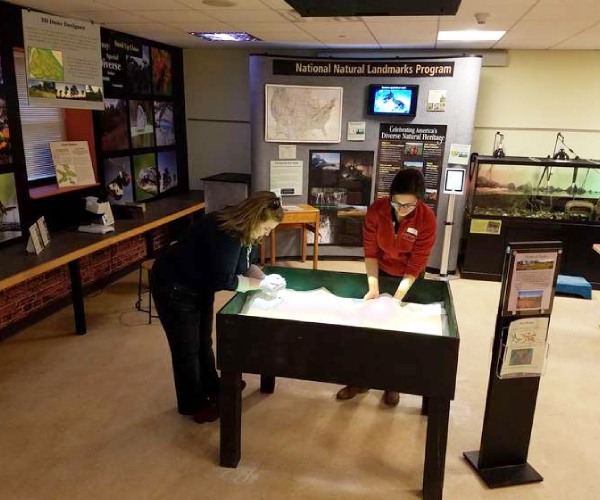 two people inside museum doing an activity