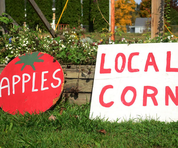 apples and local corn signs
