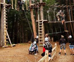 people on the ground and up in trees at treetop adventure course